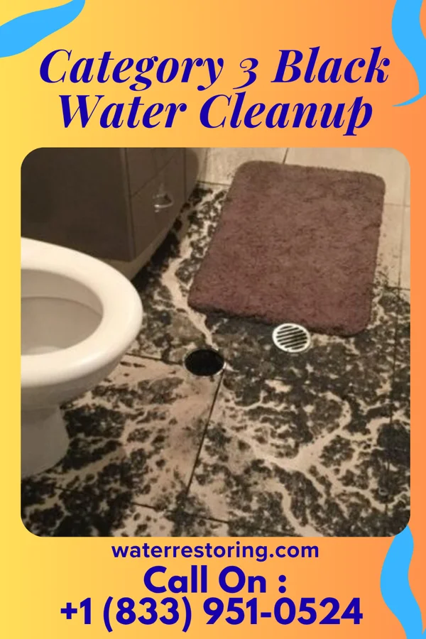 Category 3 Black Water Cleanup in Echo, MN