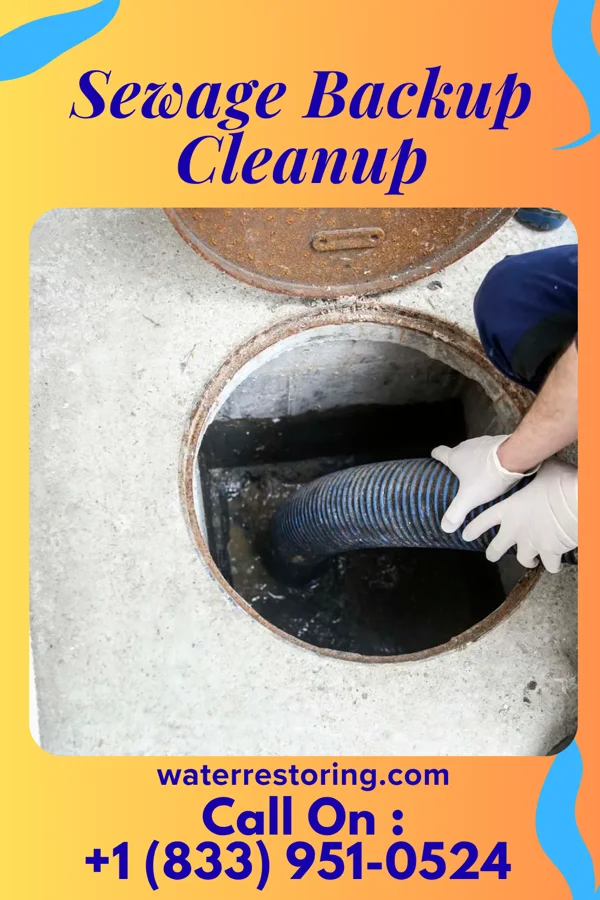 Sewage Backup Cleanup in Echo, MN